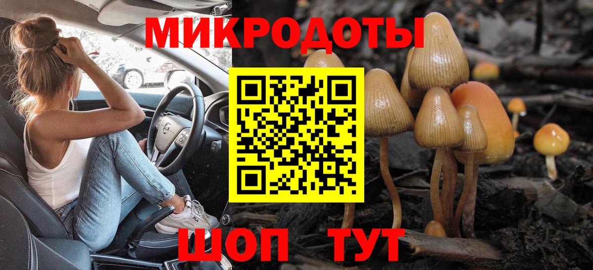 Лениногорск  Галлюциногенные грибы Cubensis  Вход с VPN 