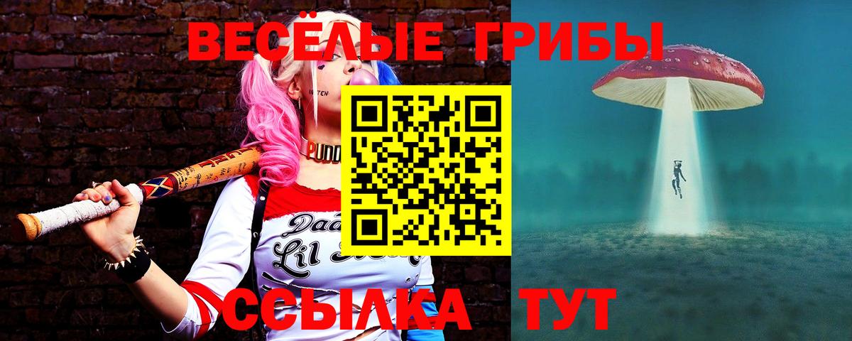 Псилоцибиновые грибы Cubensis Лениногорск
